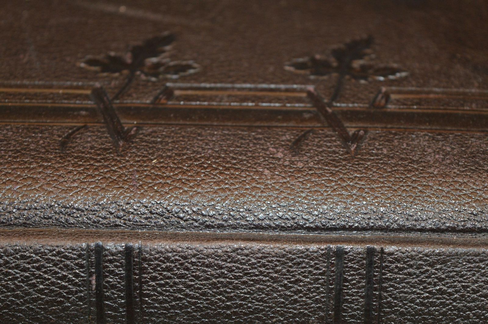 Home Decor Large Tooled Leather Photo Album With 26 Photos C1890 photo
