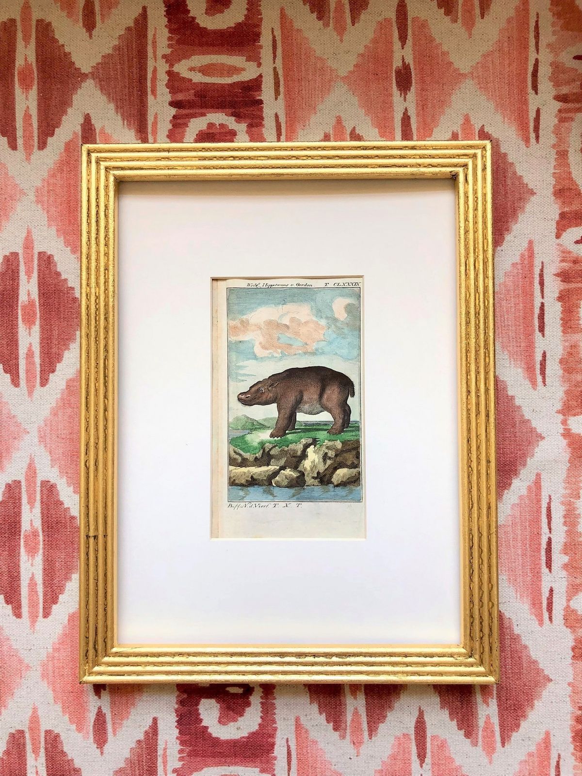 Gilt Framed Pair Of Rare 18th Century Animal Hippo Engravings By Buffon photo for sale