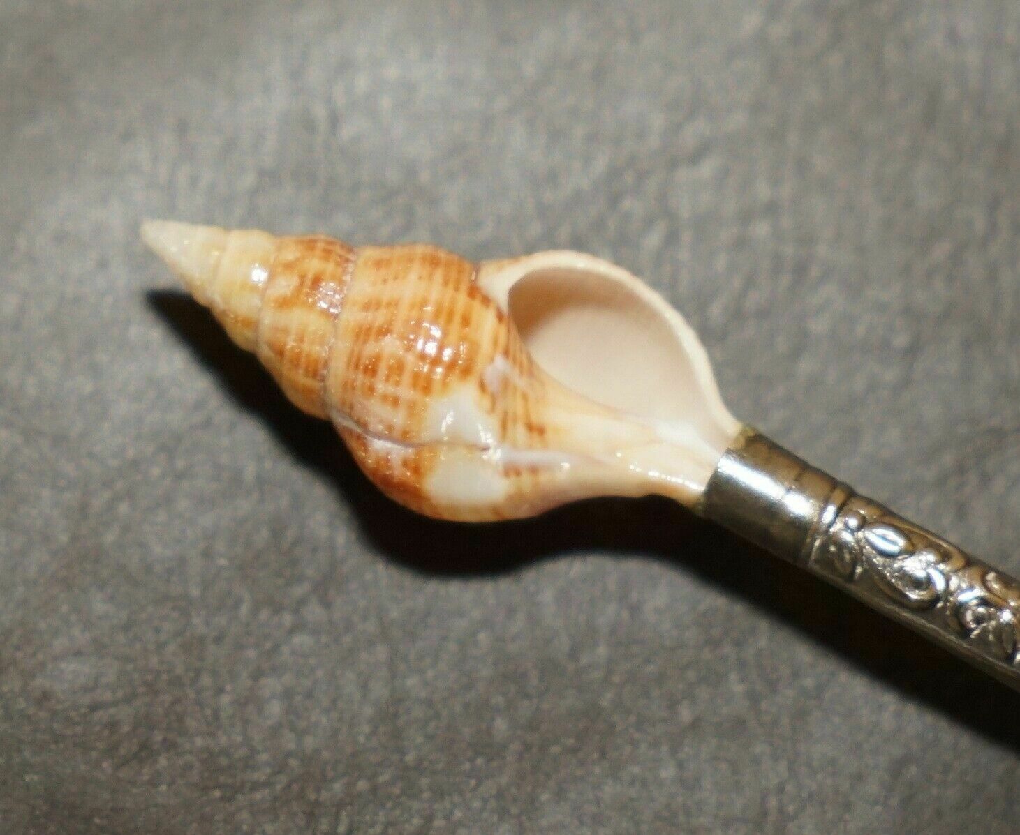 Home Decor Four Antique Victorian Mother Of Pearl & Sterling Silver Tested Shell Tea Spoons photo