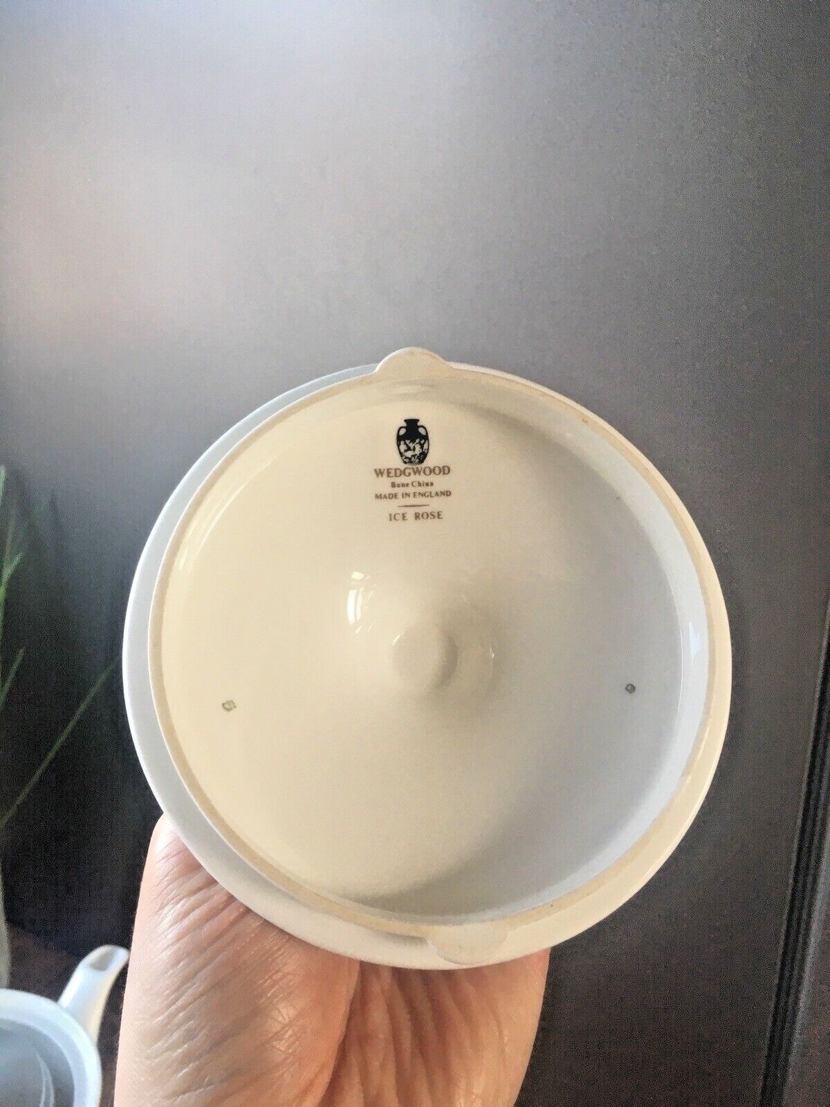 Vintage Wedgwood Ice Rose Bone China Automatic Electric Coffee Pot Percolator photo buy