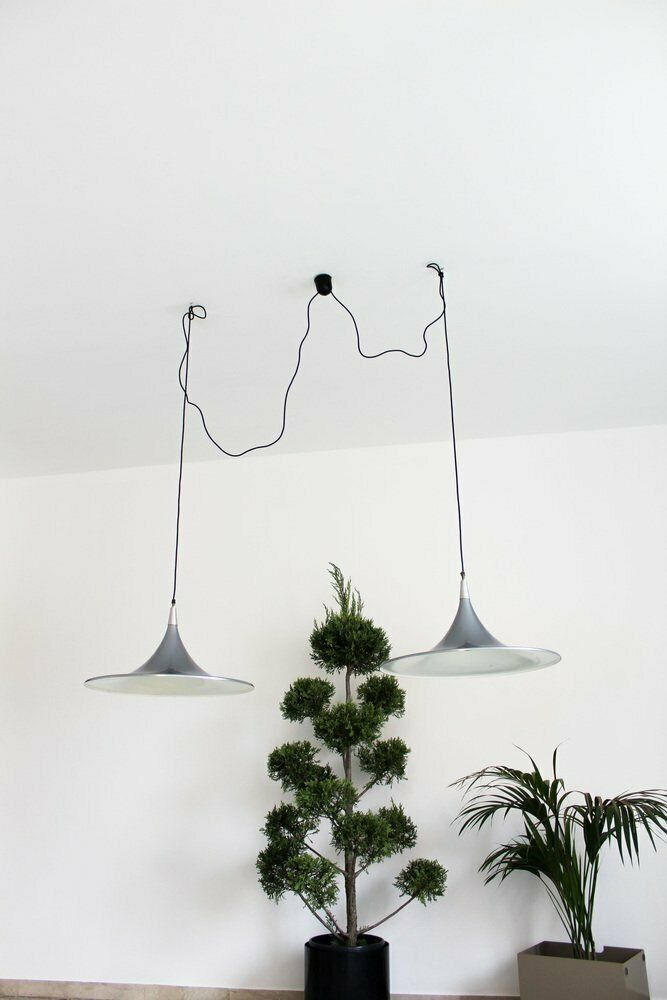 Ceiling Chandeliers By Goffredo Reggiani, Italy, 1980s, Set Of 2 photo vinterior