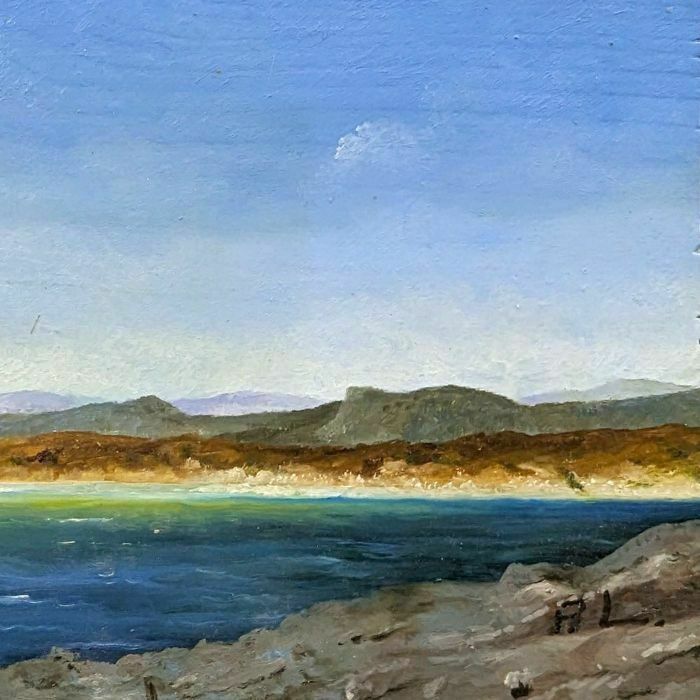 Seaside Landscape With Seagulls French School Philippe Lazare 20th Century photo Art