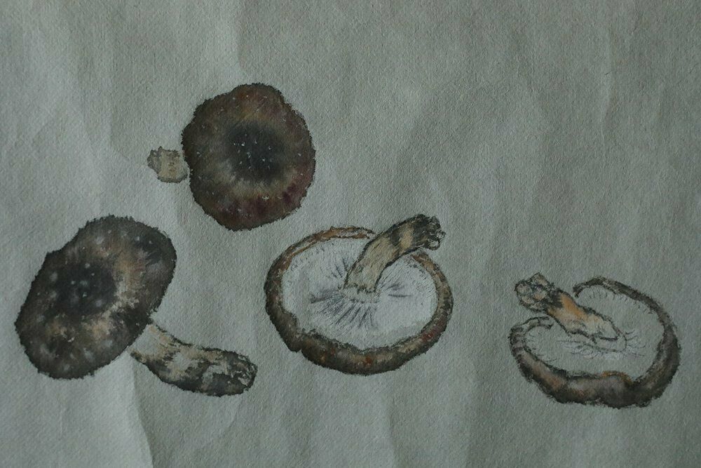 Japanese Style Mixed Media Artwork On Textile By Svampar, Denmark, 1950s photo furniture