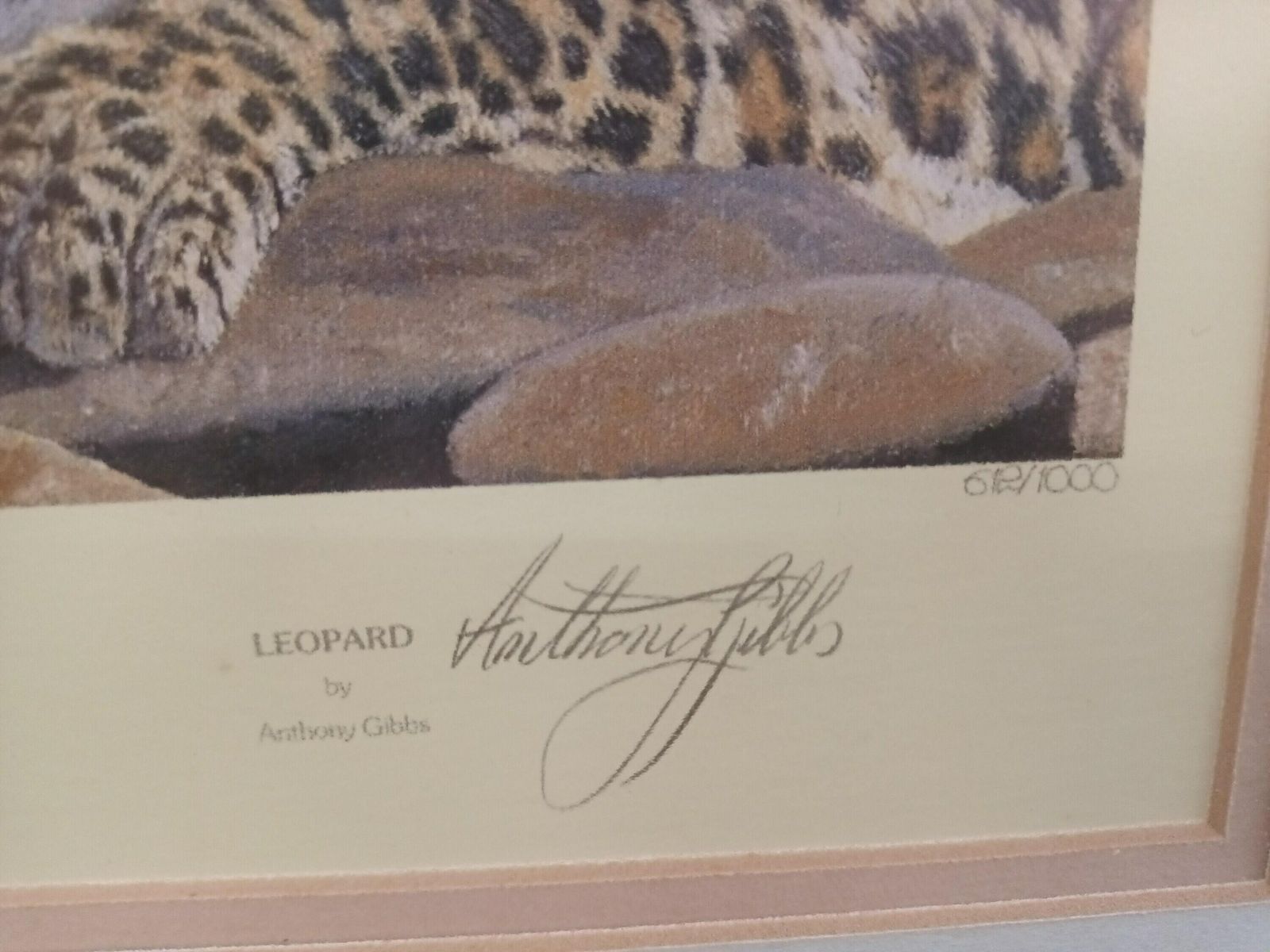 Vintage Leopard Print Signed Print Of A Leopard Anthony Gibbs Framed Signed Ltd Edition photo Art