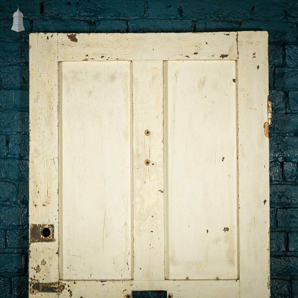 450.0 Pine Panelled Door, 5 Raised Panel Mouldings, Panel Distressed Paint Finish photo