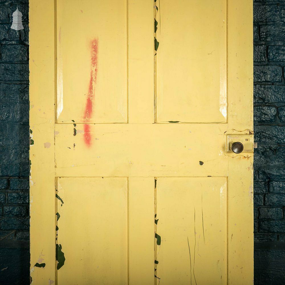 Home Fixtures Pine Panelled Door, Moulded 4 Panel Yellow Painted photo