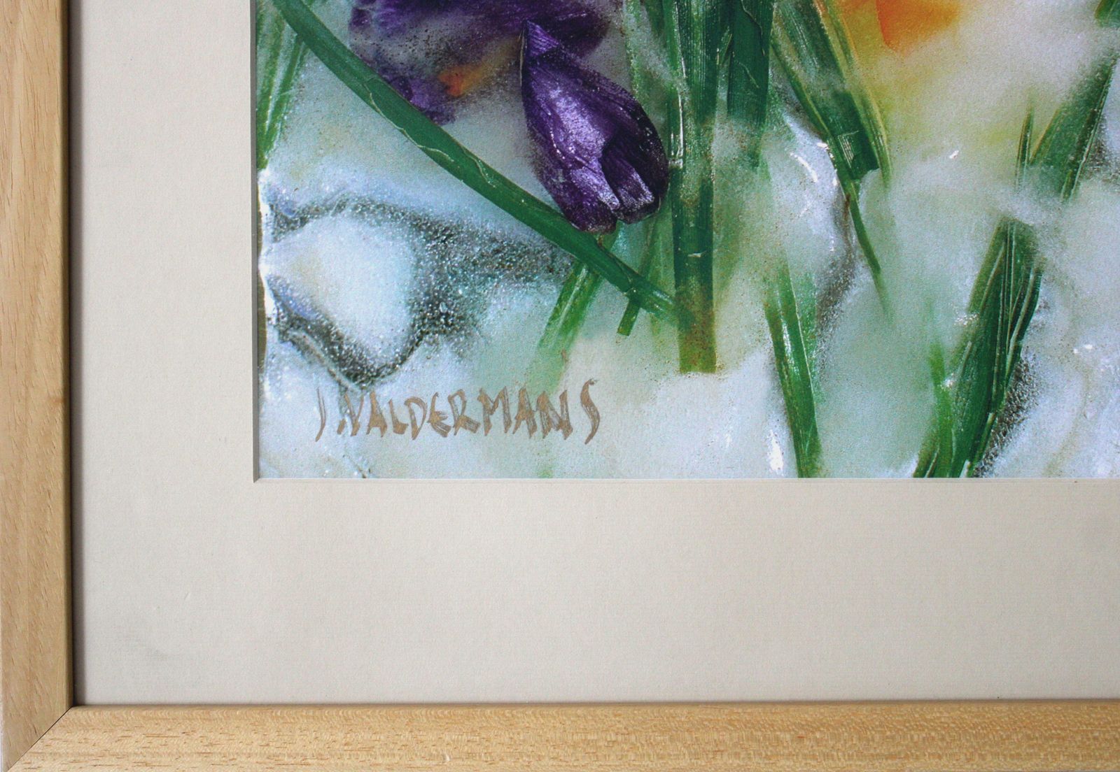 Valdemars Helmanis Eden. 2004, Photography,  2004 photo for sale