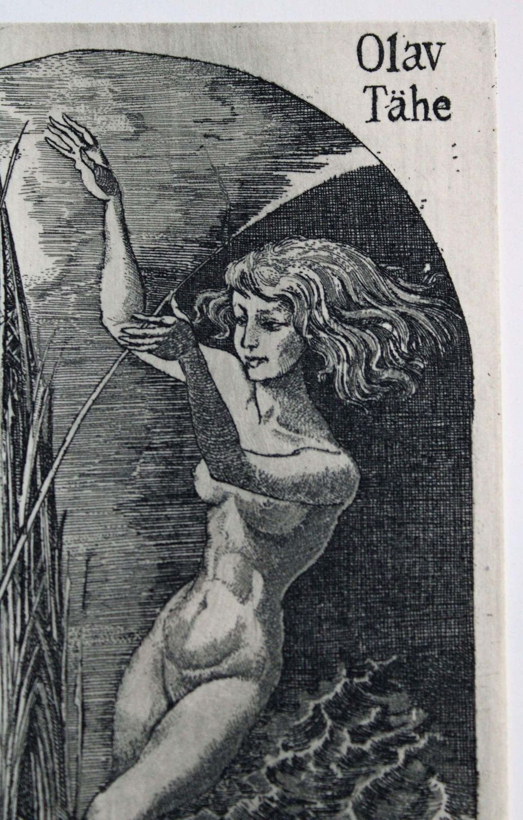 Jelena Antimonova Ex Libris. Paper, Woodcut. photo for sale