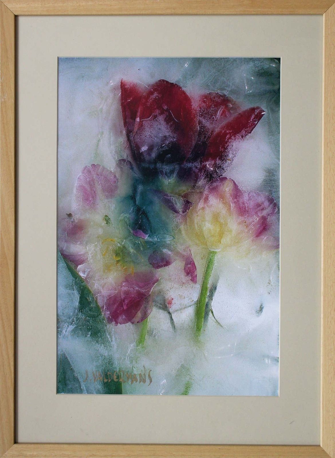 Valdemars Helmanis Tulips. 2004, Photography. photo furniture