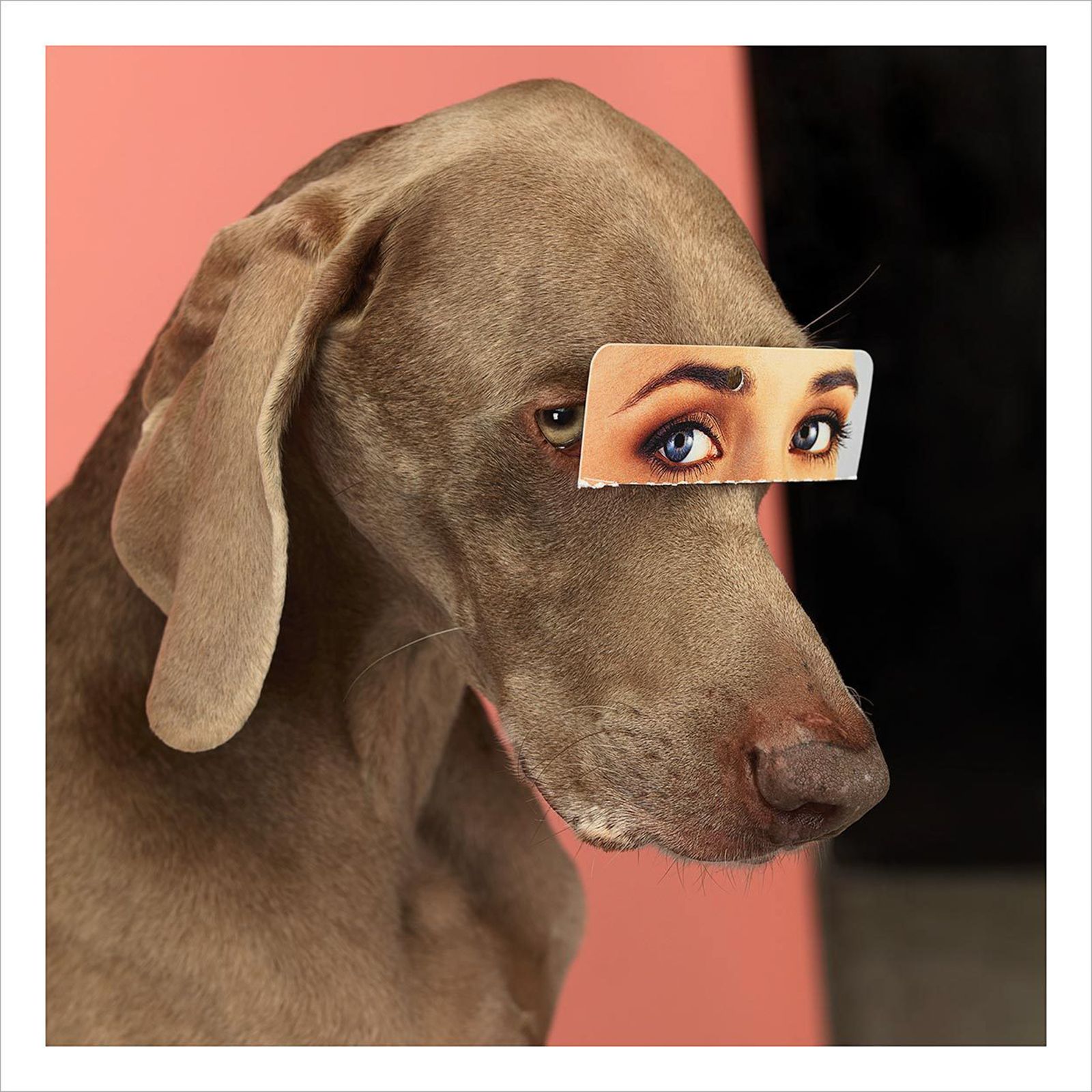 Signed & Framed William Wegman “False Eyes" Magnum Print, 2019