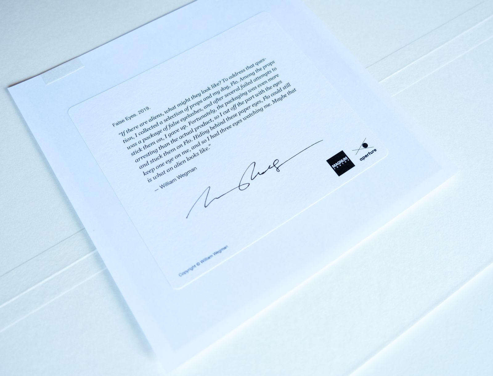 Signed & Framed William Wegman “False Eyes" Magnum Print, 2019 photo for sale