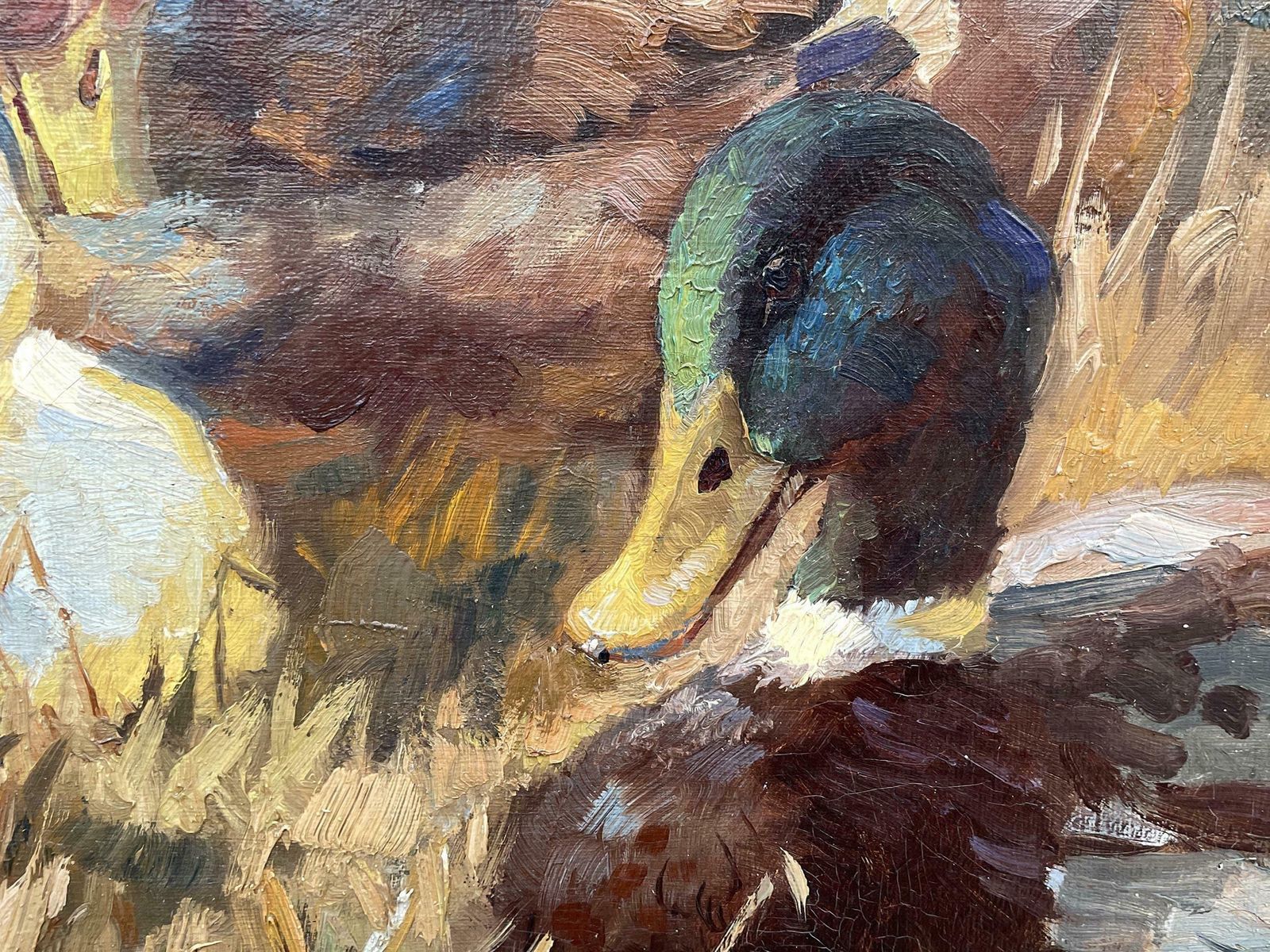 Ducks Oil On Canvas Painting By Keller Kühne Josef Woldemar photo buy