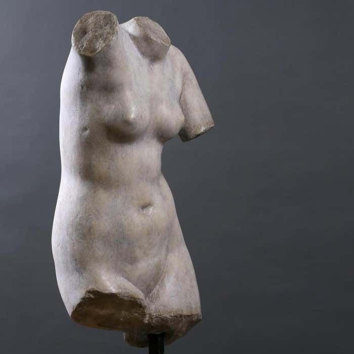 Beautiful Bust Of Venus, The Goddess Of Love, 20th Century. photo Art
