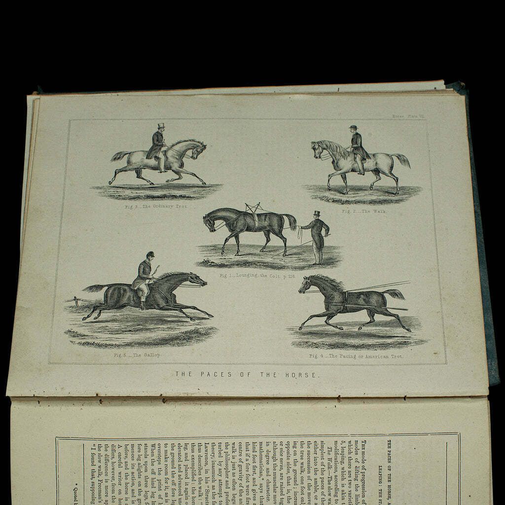 Large Antique Book, Modern Practical Farriery, Wj Miles, English, Circa 1900 photo vintage