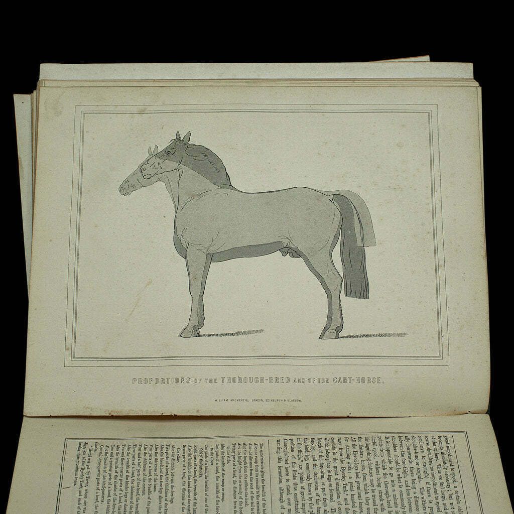 photo for sale Large Antique Book, Modern Practical Farriery, Wj Miles, English, Circa 1900