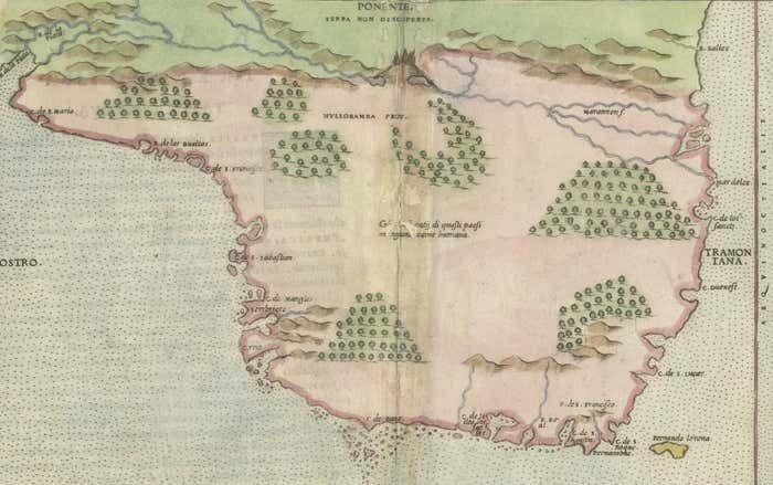 Original Antique Map Of Brasil, Published In The 16th Century photo for sale