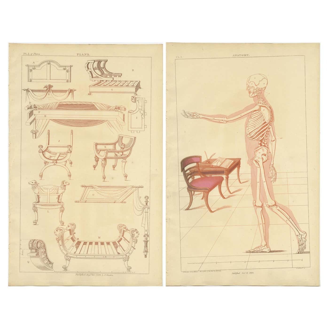 Set Of 2 Antique Prints Of Furniture Designs By Sheraton '1805'