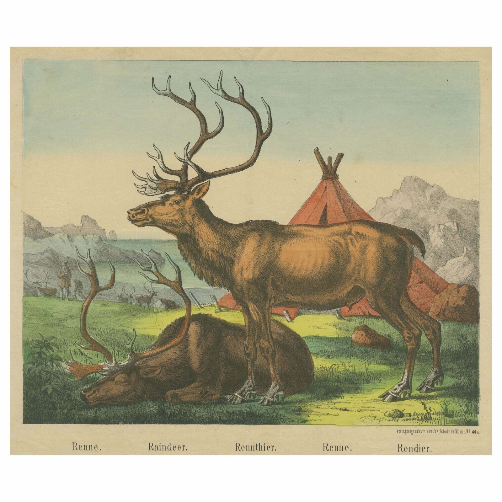 Antique Print Of Reindeer Near A Camp
