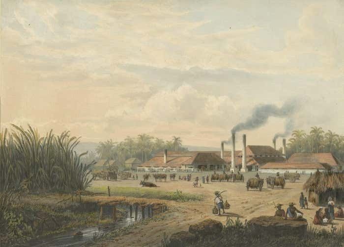Original Chromolithograph Of A Sugar Factory In Java, Indonesia, 1872 photo for sale