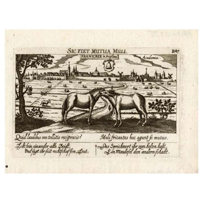 Antique Print Of The City Of Franeker By Meisner, 1678