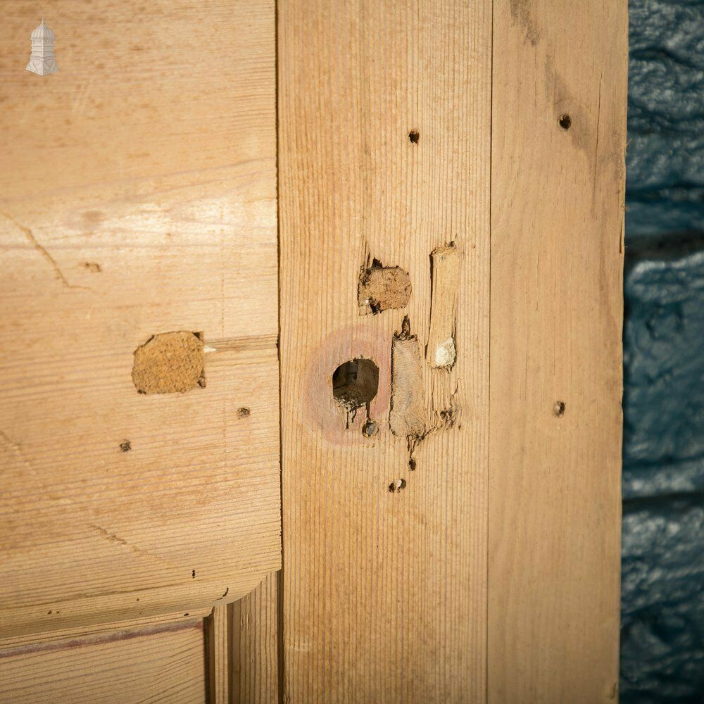 Pine Panelled Door, 6 Raised Moulded Panels photo vinterior