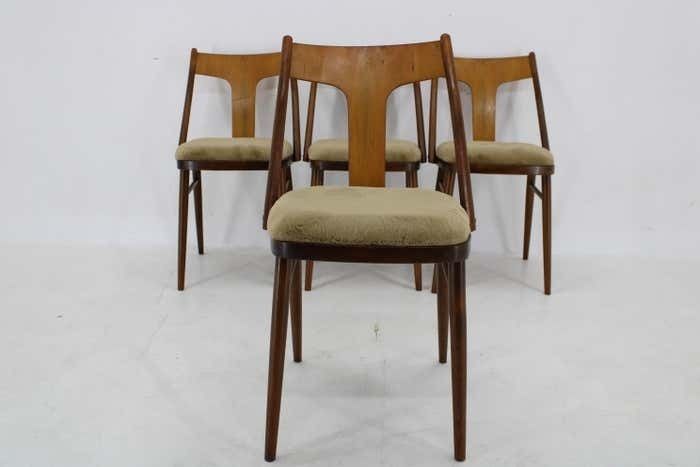 1950s Set Of Four Restored Dining Chairs In Walnut, Czechoslovakia photo Furniture