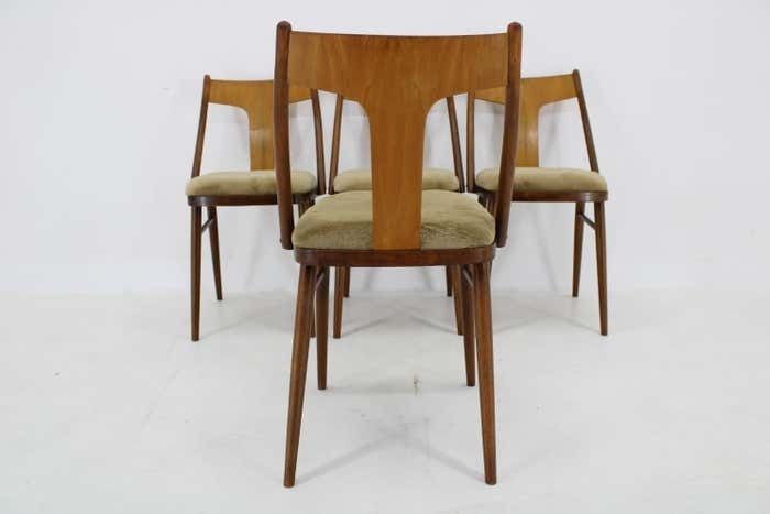 1950s Set Of Four Restored Dining Chairs In Walnut, Czechoslovakia photo vintage