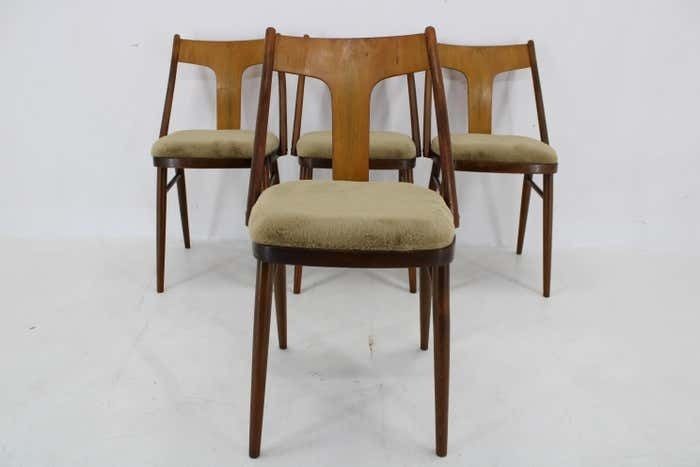 1002.0 1950s Set Of Four Restored Dining Chairs In Walnut, Czechoslovakia photo