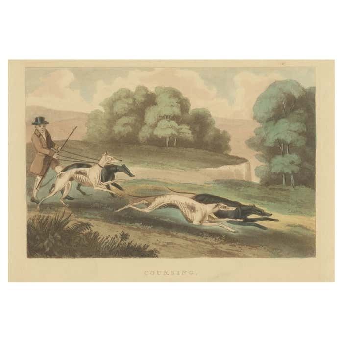 Antique Print Of Hunting Dogs Chasing Circa 1880