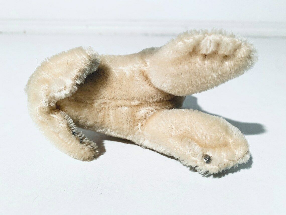 photo for sale Vintage Steiff Stuffed Baby Seal Toy 'Robby' / Vintage 1950s