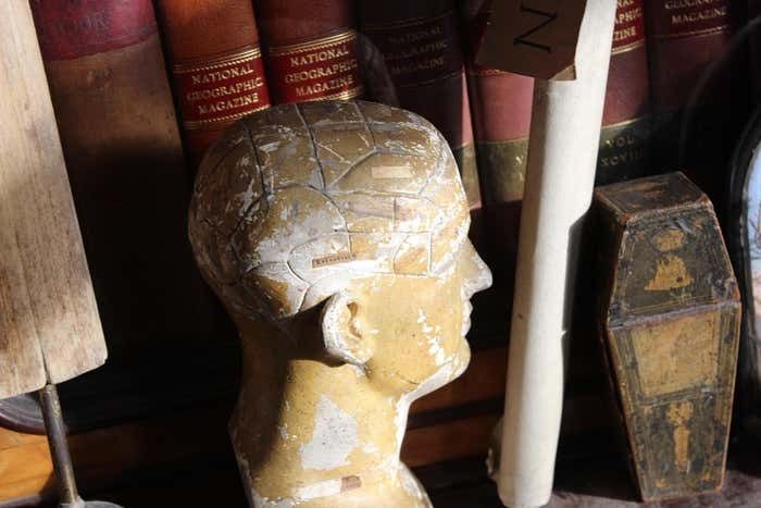 19th C Scientific James Deville L N Fowler Phrenology Plaster Bust Head Curi photo vinterior