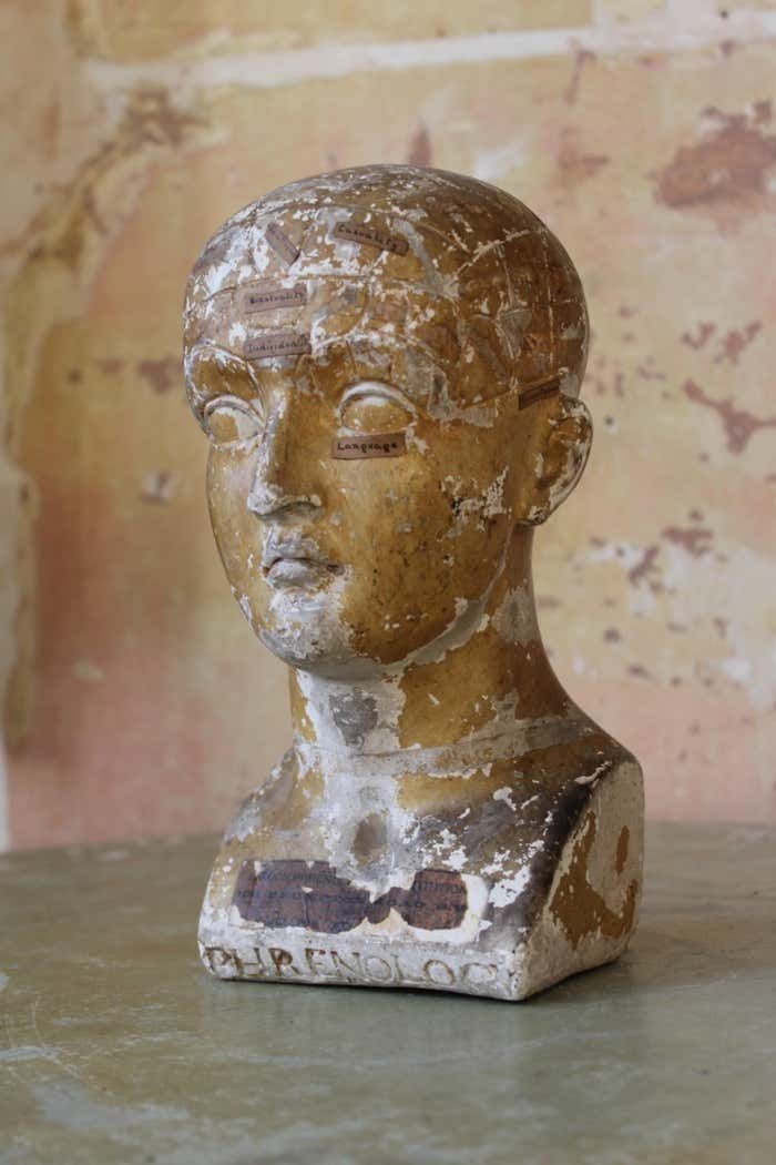 19th C Scientific James Deville L N Fowler Phrenology Plaster Bust Head Curi photo vintage