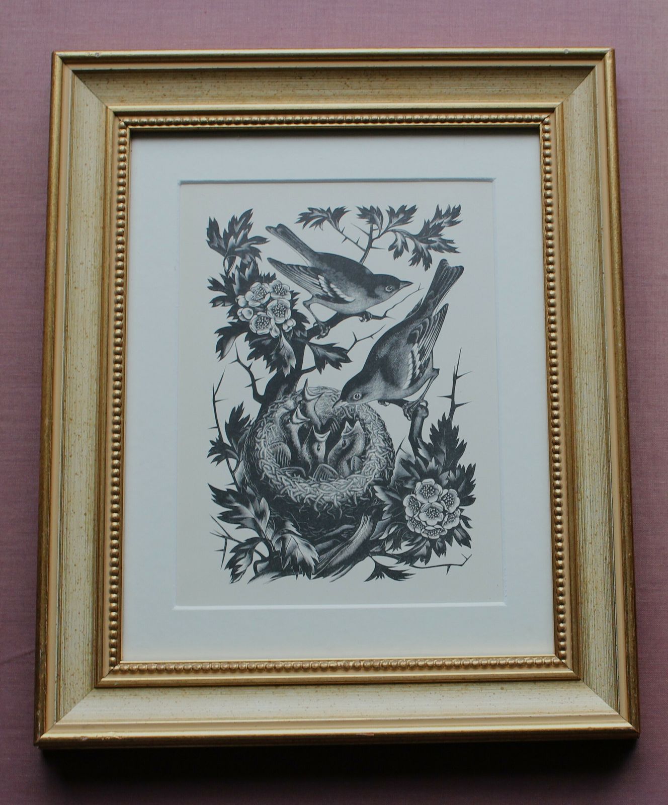  'Chaffinches On Hawthorn' By Agnes Miller Parker C1936