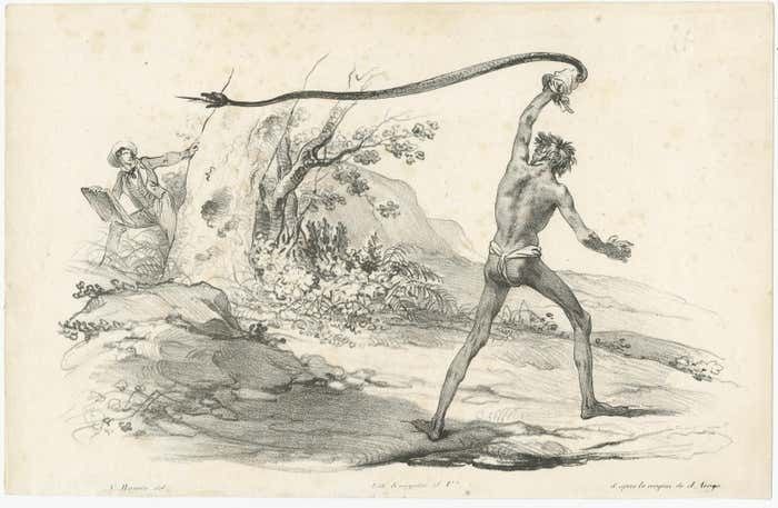 Antique Print Of The Encounter With A Black Snake photo furniture