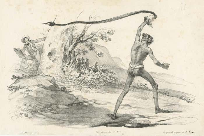 Antique Print Of The Encounter With A Black Snake photo for sale