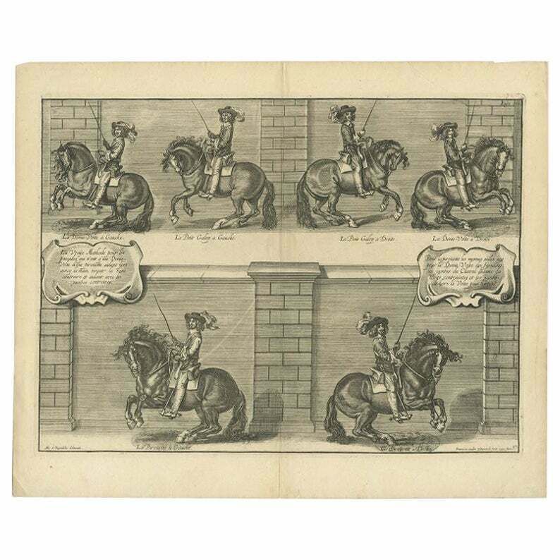 Antique Print Of The Schooling Of Horses By Van Kessel, C.1740