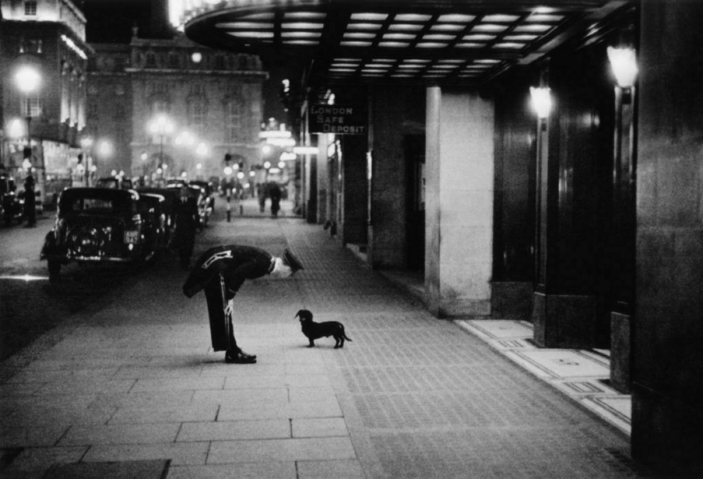 'Commissionaire's Dog' Kurt Hutton Silver Gelatin Resin Print Framed In Black