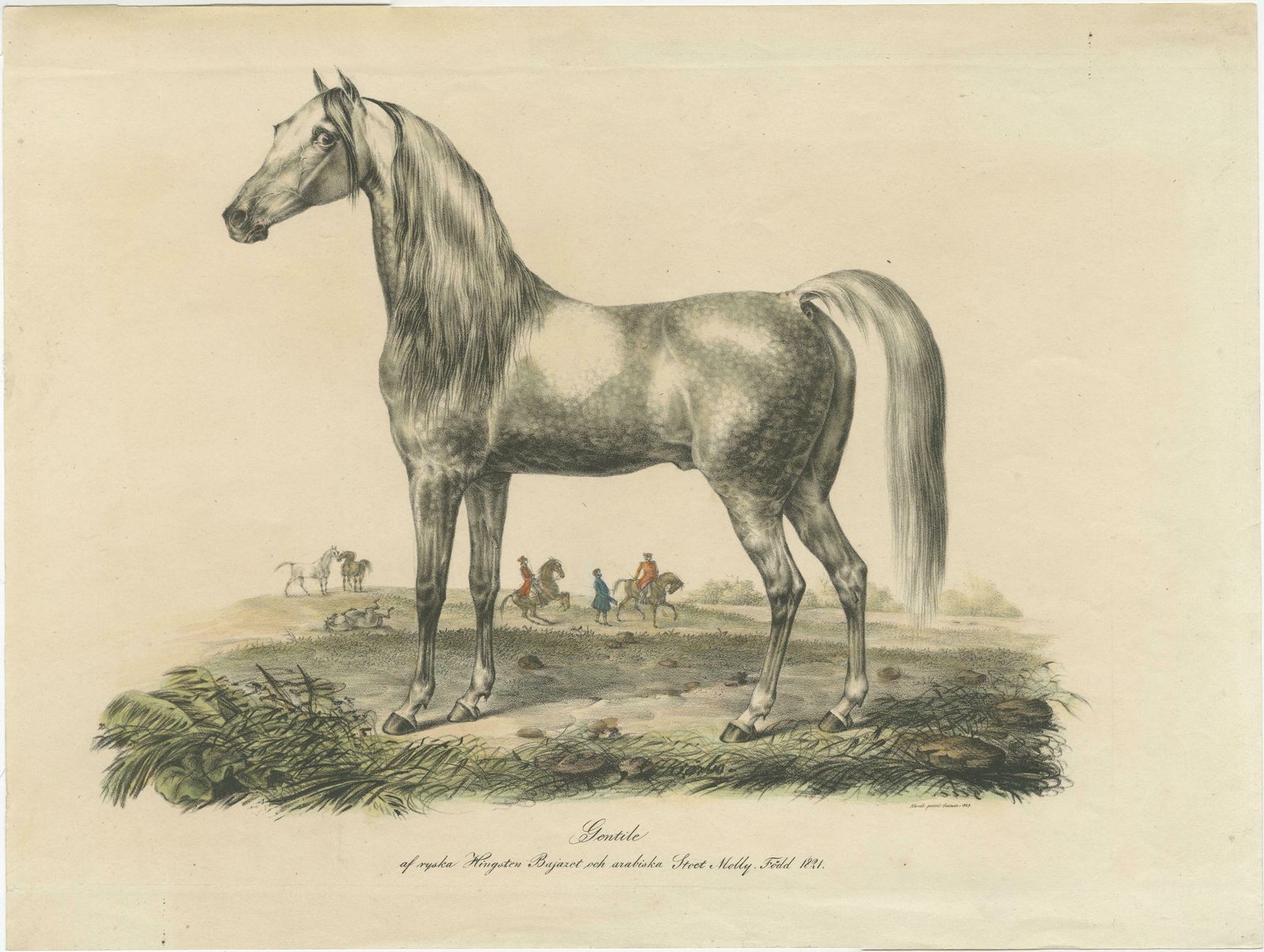 Antique Print Of An Arabic Horse Named Gentile photo furniture