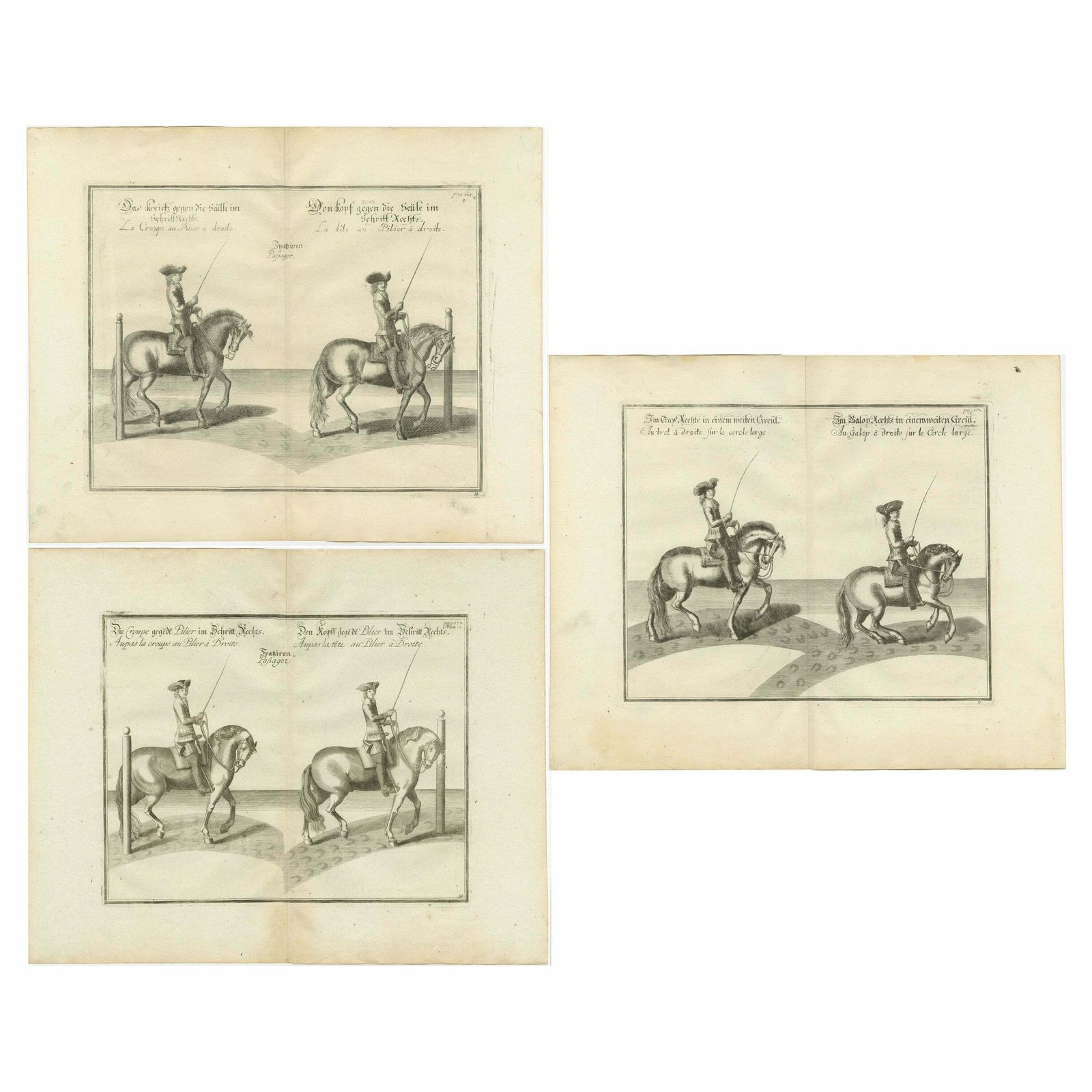 Set Of 3 Antique Horse Riding Prints