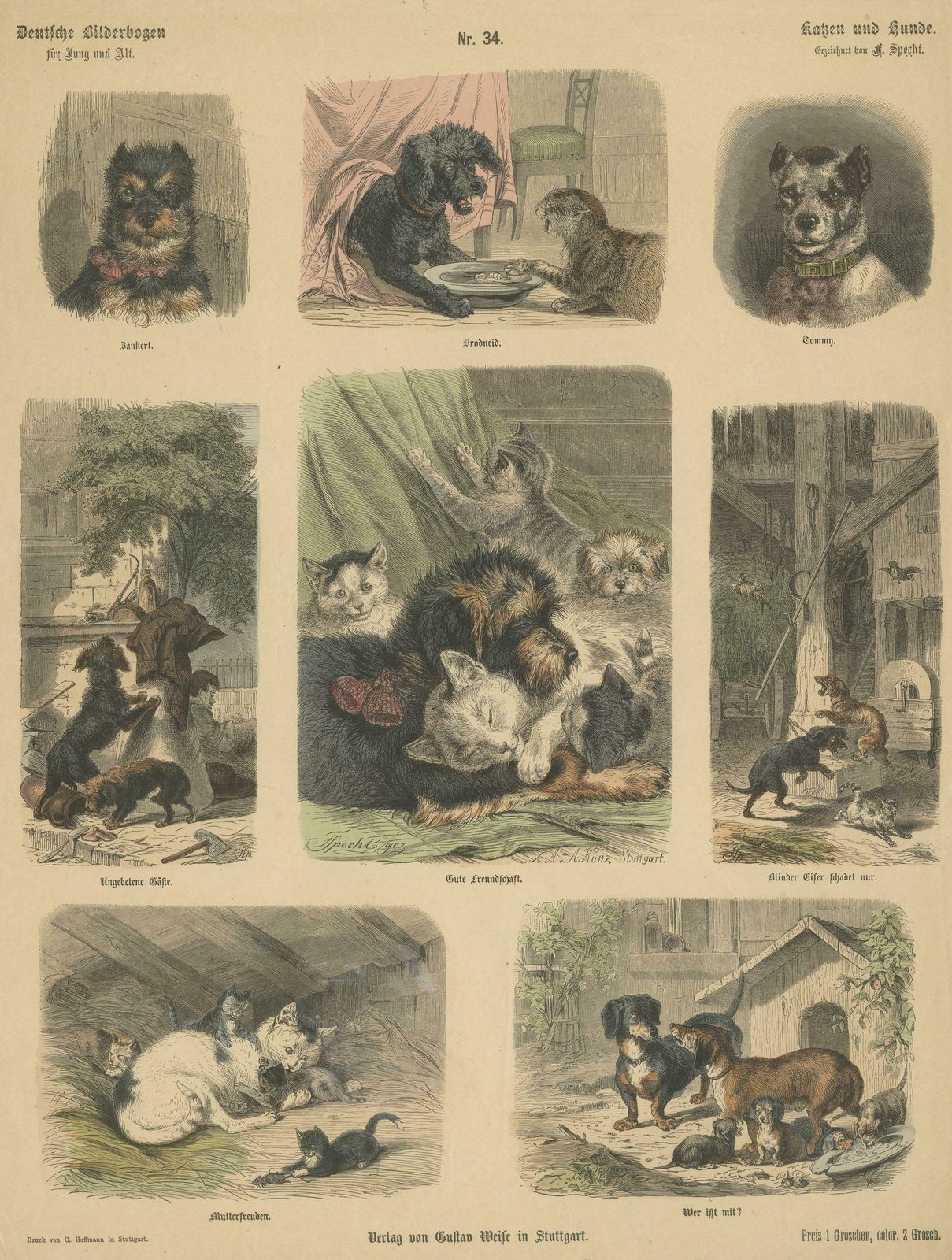 Antique Hand Colored Engraving Of Various Cats And Dogs photo Art