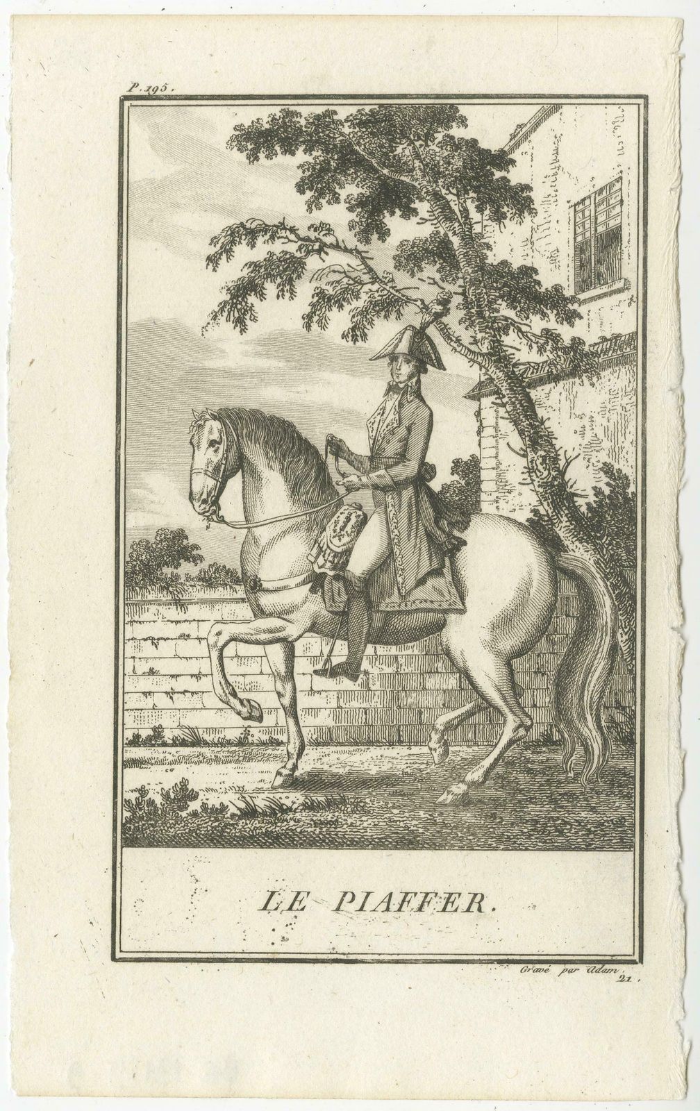 Set Of 5 Antique Horse Riding Prints, Le Piaffer, La Galopade, La Courbette photo Art