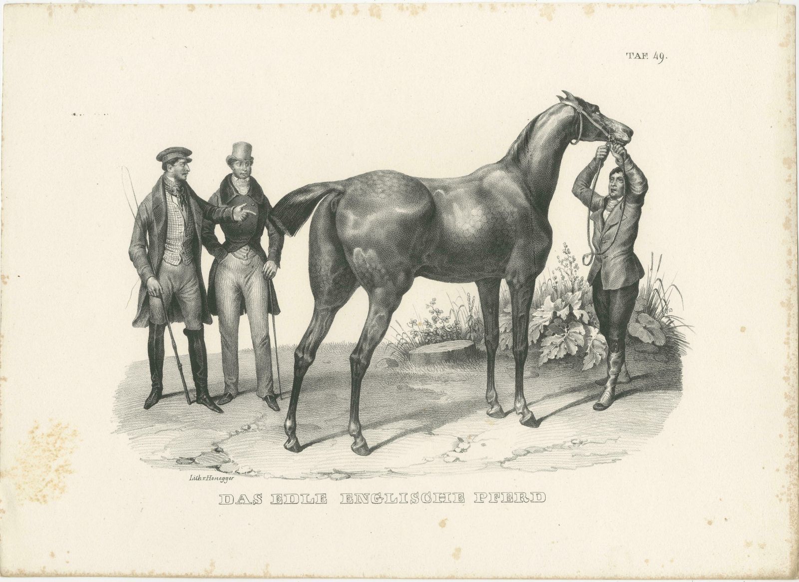 Set Of 2 Original Antique Prints Of English Horses photo for sale
