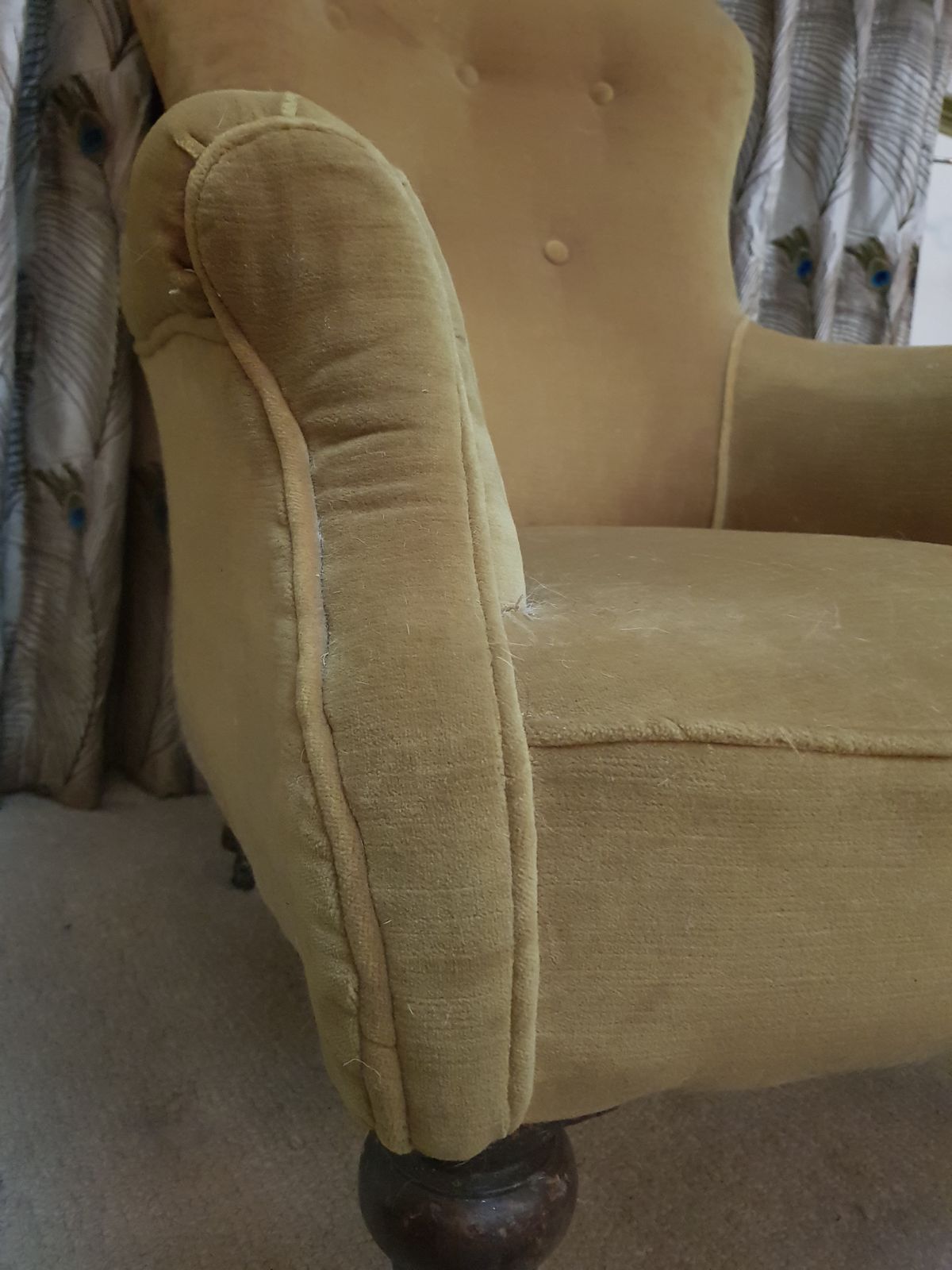 photo buy Gold Velvet And Mahogany Slipper Chair 1900s