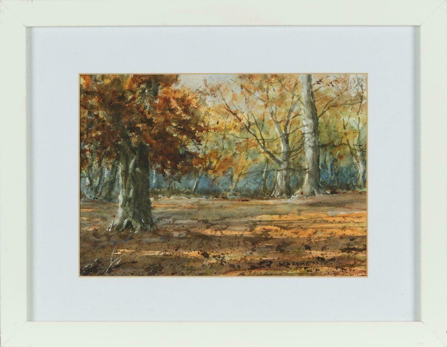 William Hume 19th Century Watercolour Drawing Of Autumnal Trees In Northern Ireland Forest 1950 Circa photo for sale