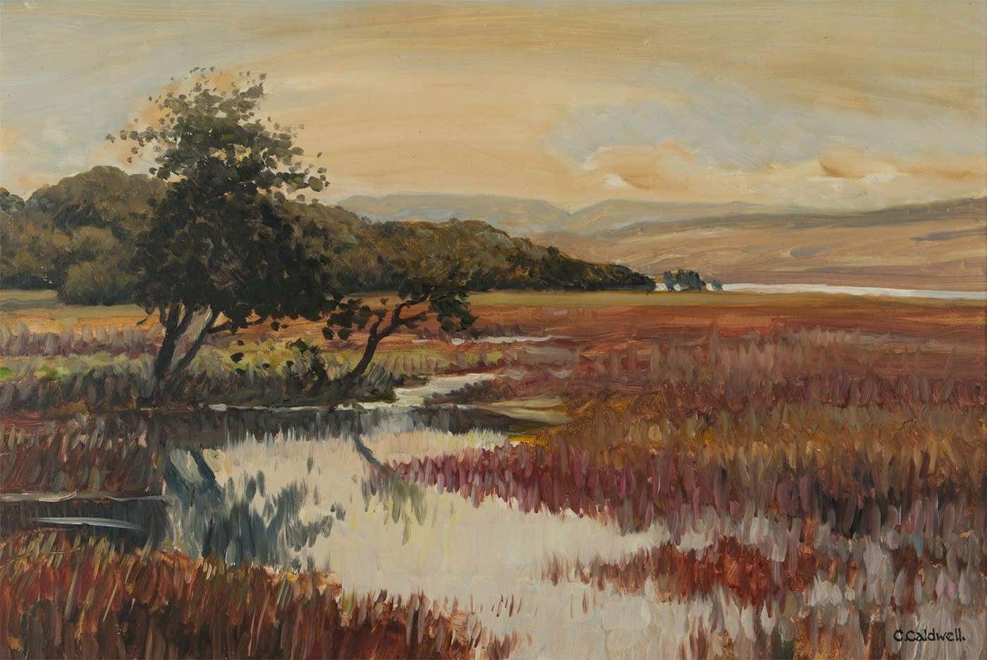 Charles Mcneill Caldwell Post Impressionist Oil Painting Of Donegal Wetlands Landscape In Ireland 1965 Circa photo furniture