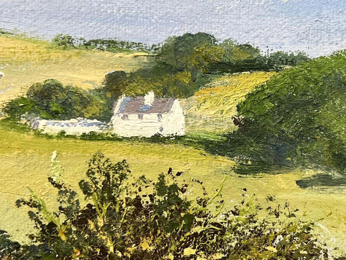 photo vinterior Dennis Harper Rural Mountain Landscape Oil Painting Of The English Countryside 1995