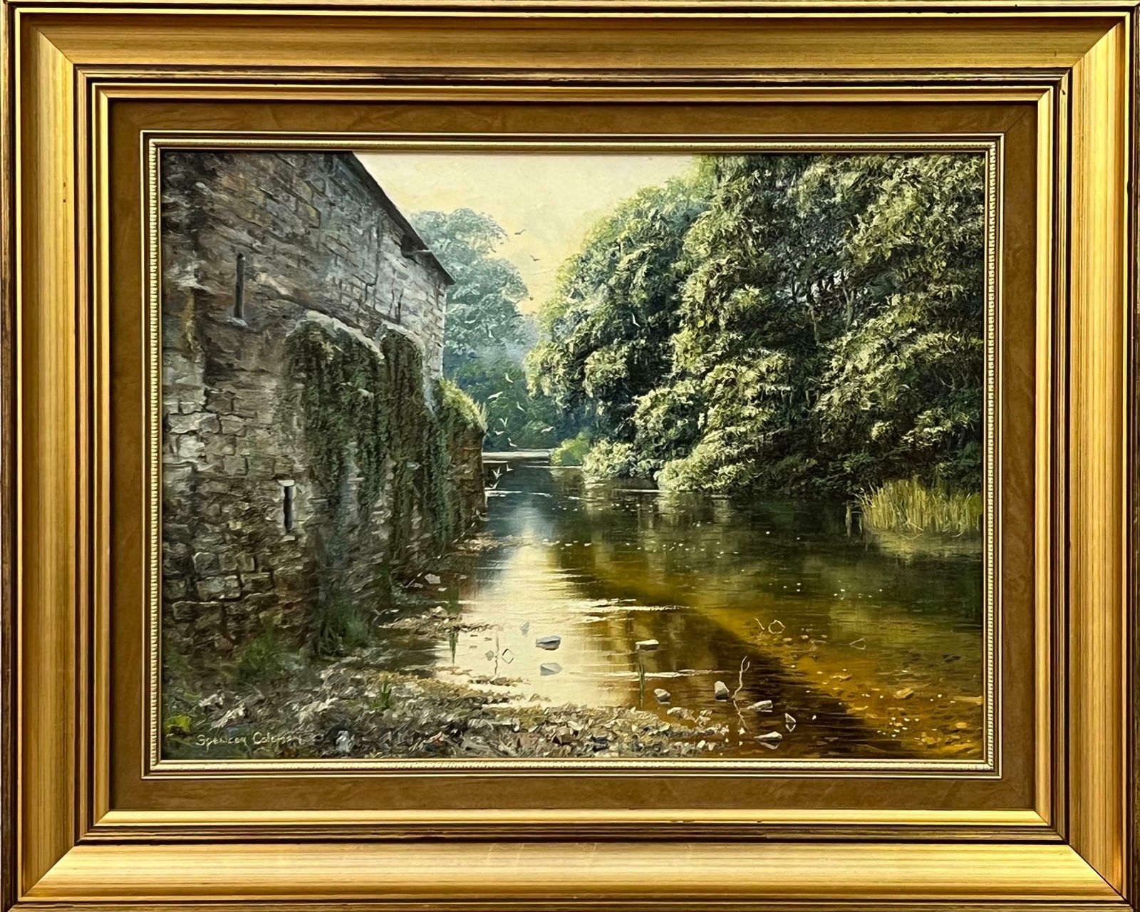 Spencer Coleman Painting Of A Beautiful Rural Countryside River Scene With Birds In Ireland Circa 1995 photo 1950.0