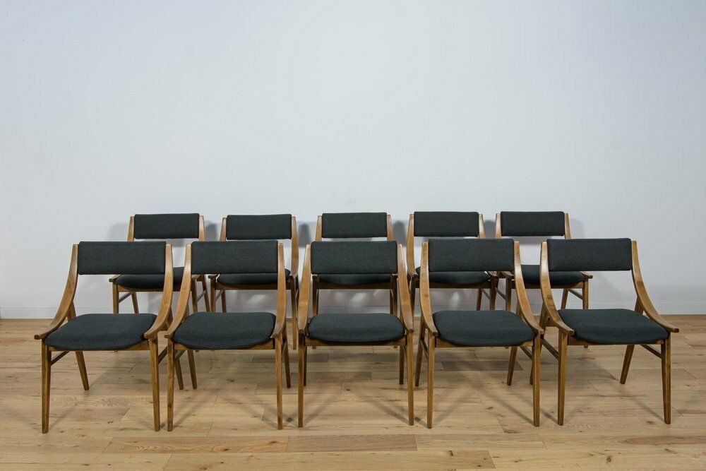 Polish Ski Jumper Chairs From Zamojska, 1970s, Set Of 10