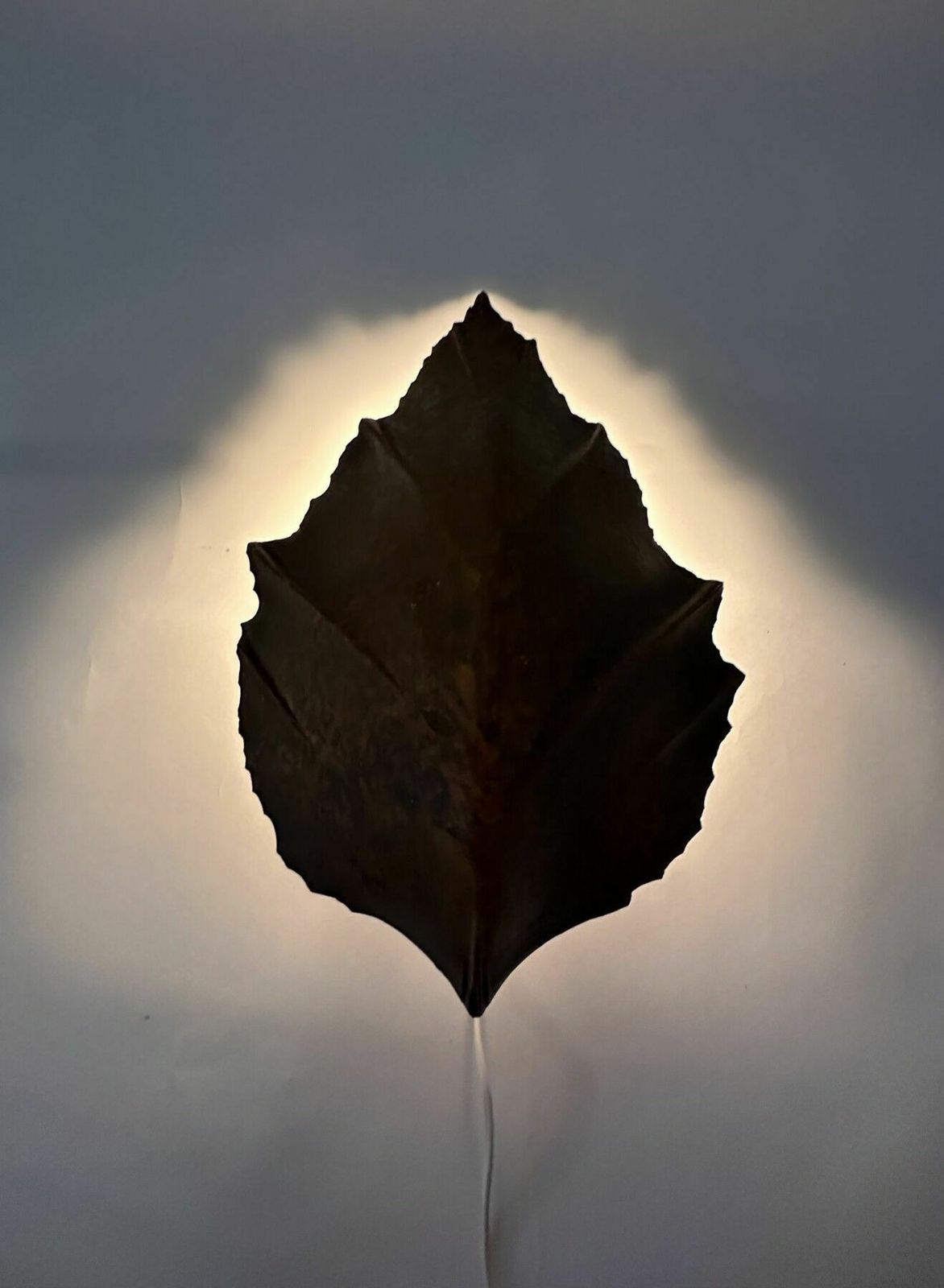 Vintage Leaf Wall Lamp , 1970’s photo furniture