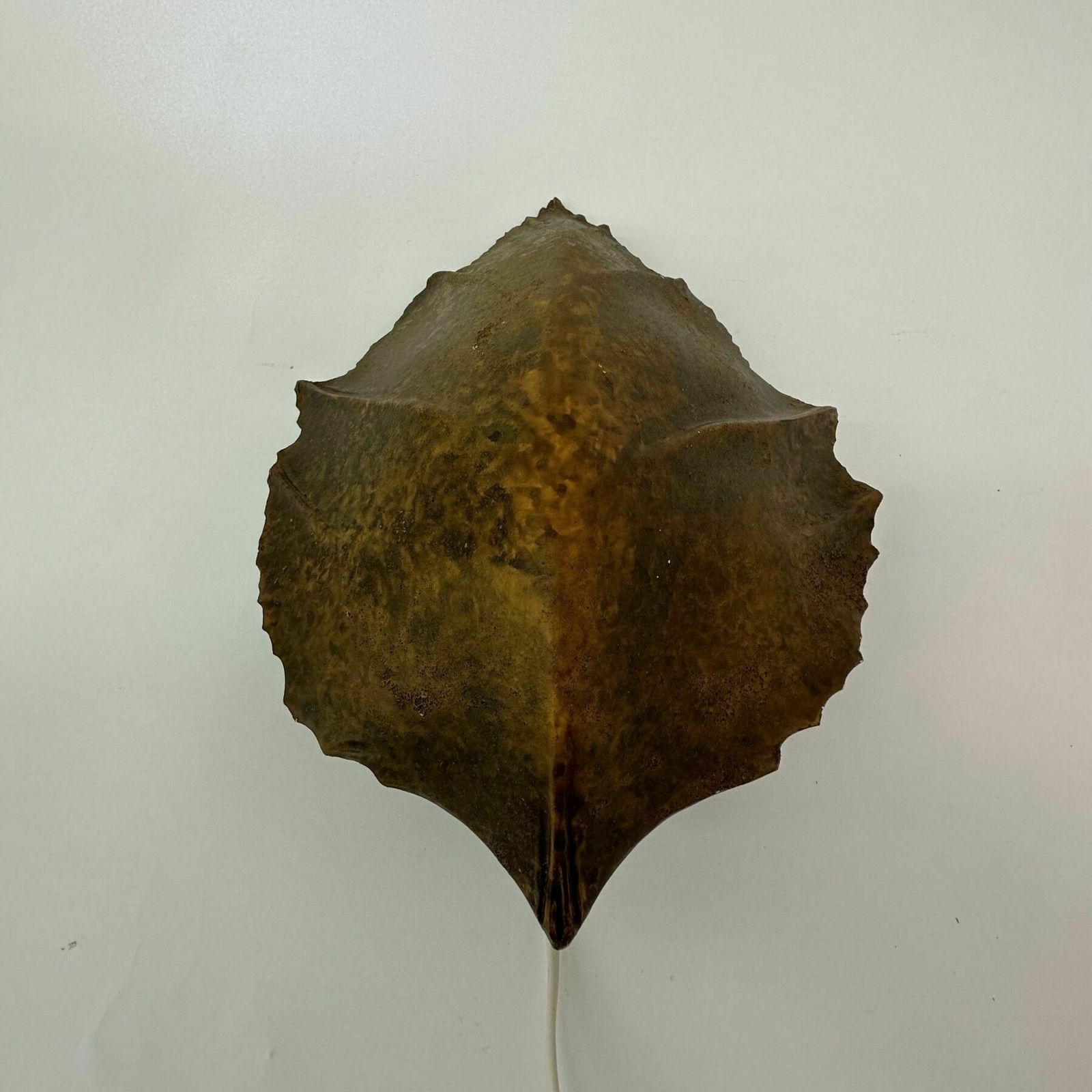 Vintage Leaf Wall Lamp , 1970’s photo vinterior